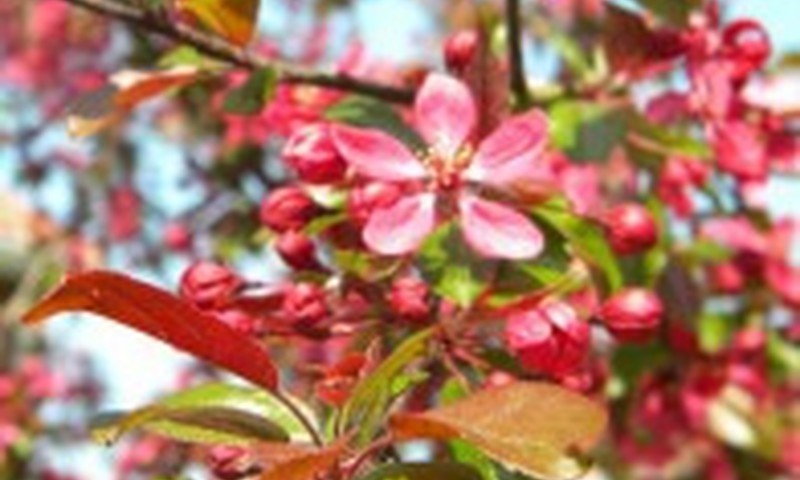 Truputį apie tai, kuo mes šiandien gyvename...