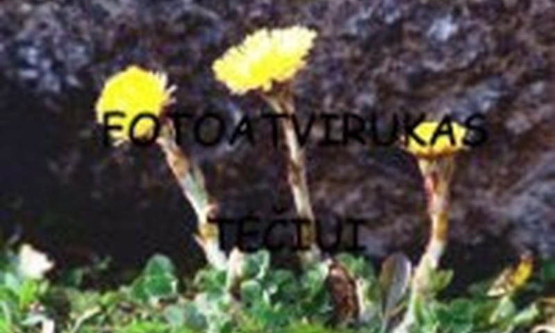 Iki rytojaus kurk atviruką Tėčiui ir laimėk ŠEIMOS FOTOSESIJĄ!