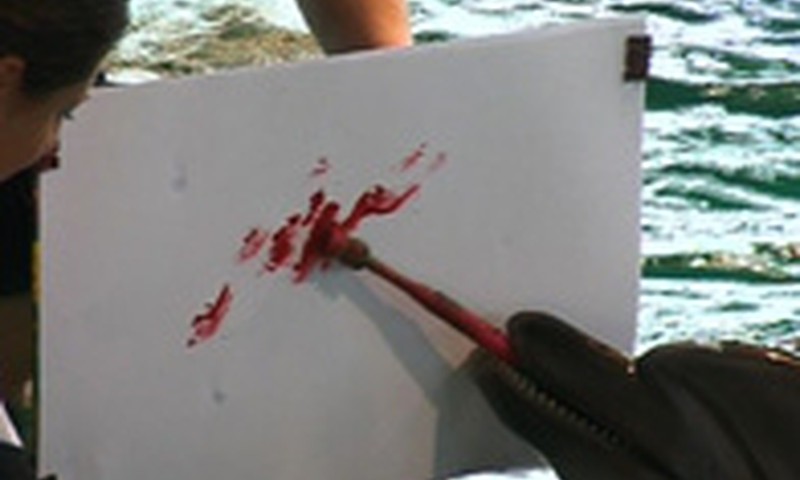 Pagaliau prasideda naujasis "Mamyčių klubo" laidų sezonas! Jau RYTOJ 9.30 per TV3!!!