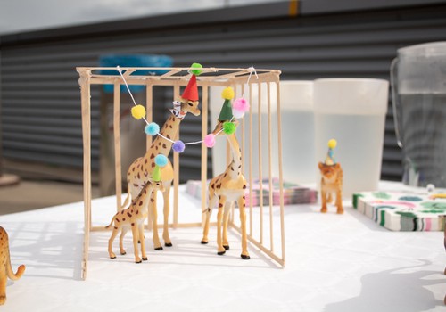 Savo gimtadienio dovanas vaikai atidavė zoologijos sodo žirafoms