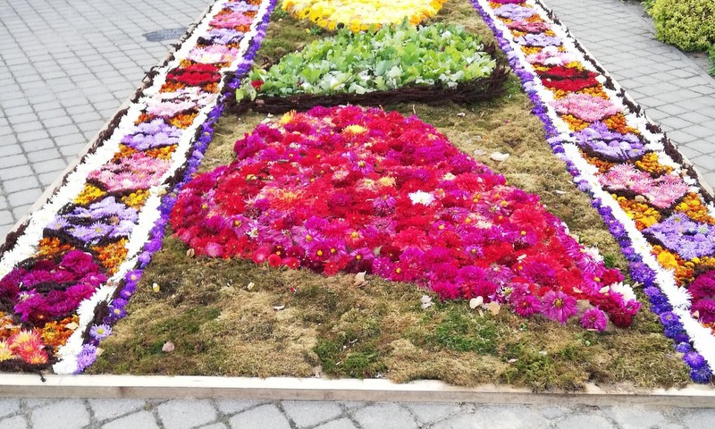 TOKIA MŪSŲ KASDIENYBĖ. Švėkšnos gėlių kilimai ir paminklas krepšiniui
