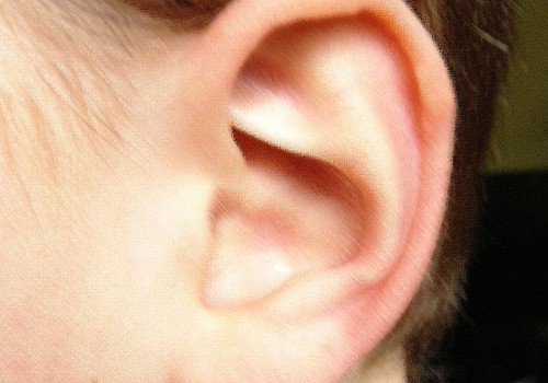 Ką ir kaip girdi mūsų ausys?