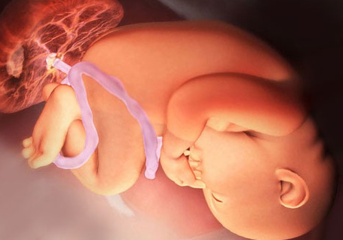 Nėštumo kalendorius. 38 savaitė: Jūsų organizmas aktyviai rengiasi gimdymui