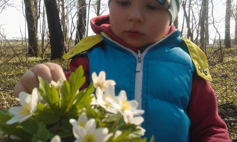 Mano saules spindulelis