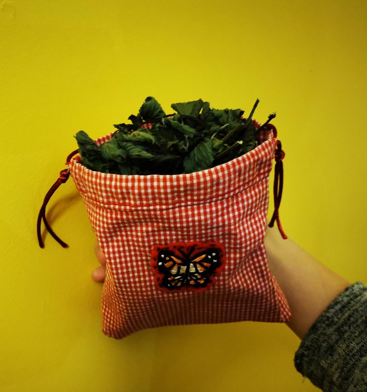 Pramogos per nuotolį