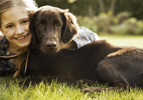 Psichologė: Jei tik leidžia sąlygos, leiskite vaikui rūpintis šuniuku