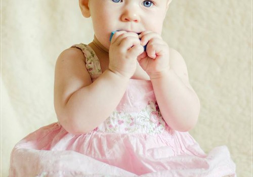 Mažoji princesė Viltė