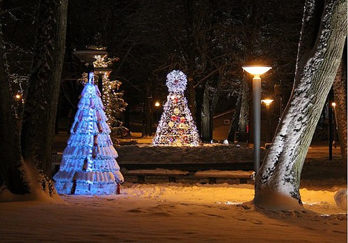 Druskininkai kviečia į kalėdinių eglučių parką