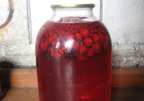Vyšnių ir raudonųjų serbentų kompotas