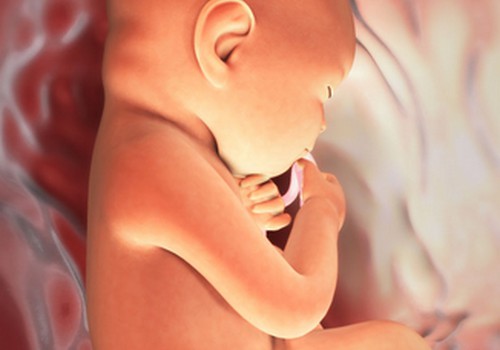 VIDEO Nėštumo kalendorius. 31 savaitė: kūdikis reaguoja į išorės garsus 
