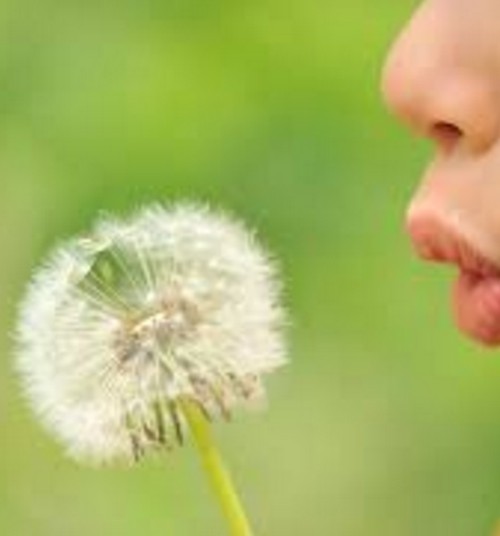 Alergijos – XXI a. epidemija: kaip homeopatija gali padėti?