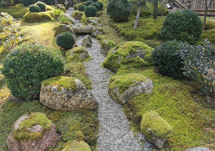 Japonų sodas