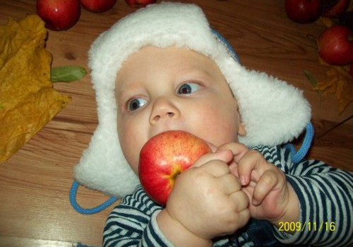 Augustino pirmas kietas maistas - naminis obuolys