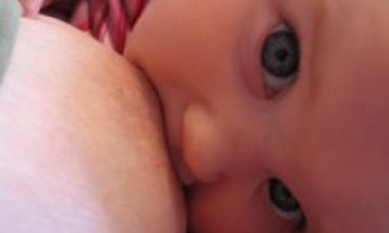 Kaip tinkamai kūdikiui paduoti krūtį? II dalis