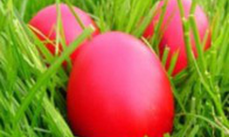 Velykų tradicijos: kiaušiniavimas ir lalavimas