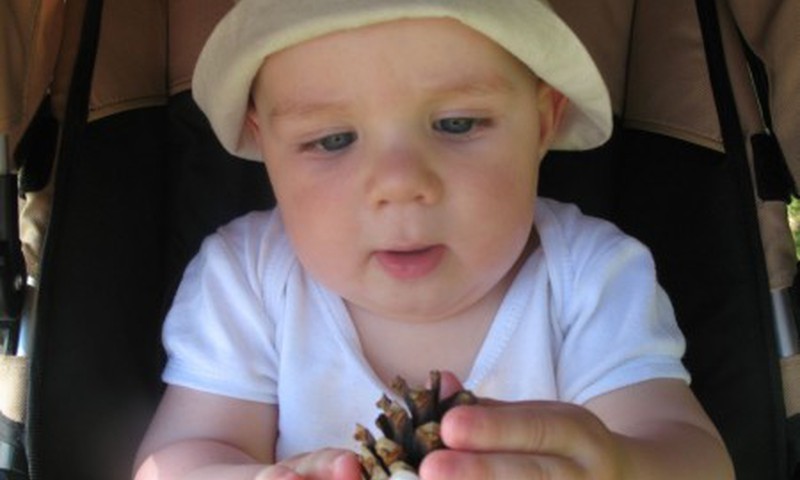 Mėgstame Gerber tyreles ir mamytės paruoštas