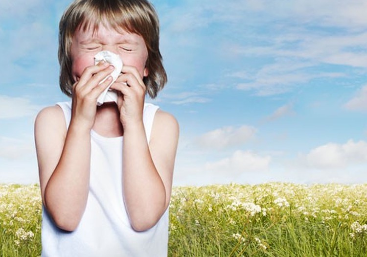 Kaip namuose apsisaugoti nuo skraidančių alergijos sukėlėjų?