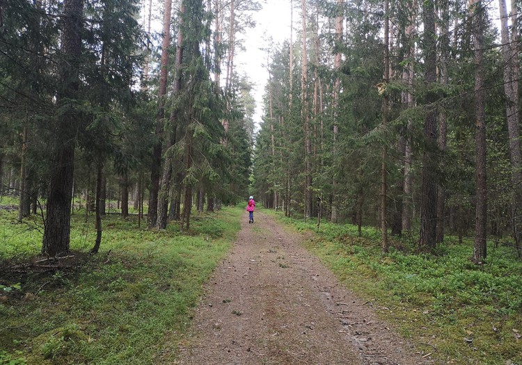 Miško turtų pažintinis takas