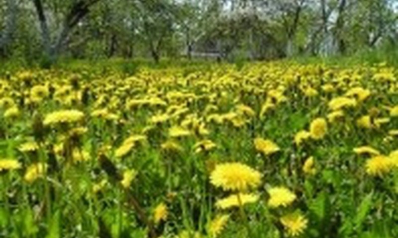 Smagi vaikučių gynimo dienos šentė Mokytojų namuose!