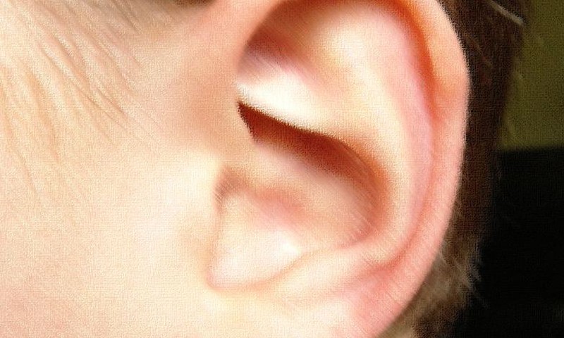 Ką ir kaip girdi mūsų ausys?