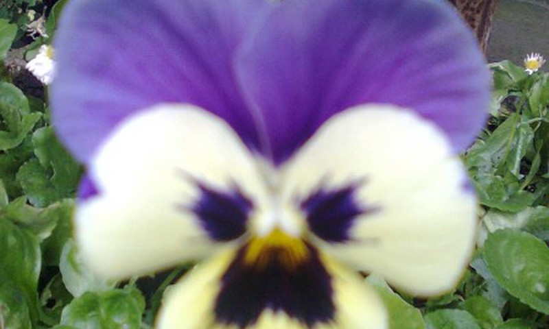 Šilutės mamytės, buriamės į Mamyčių klubo susitikimą!