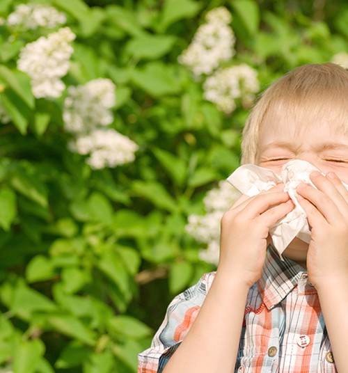 Alerginė sloga: kaip atskirti nuo įprastos?