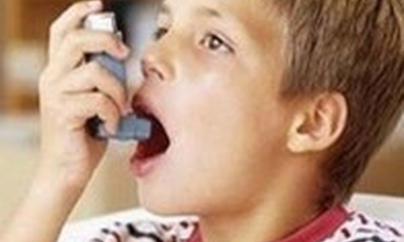 Ar astma visada būna alerginės kilmės?