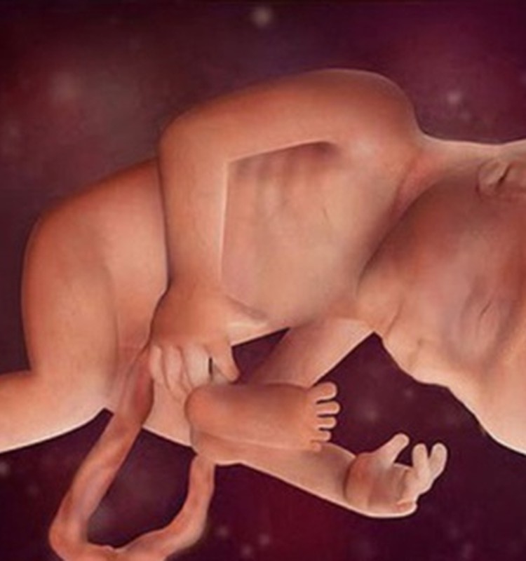 VIDEO Nėštumo kalendorius. 24 savaitė: Jūsų kūdikis sveria apie 600 gramų