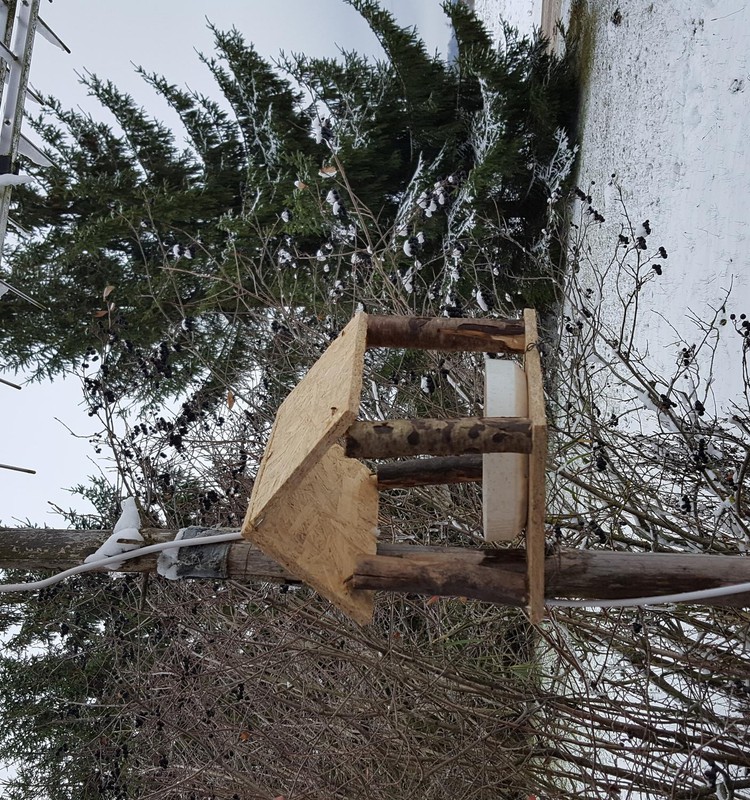 BROLIUKŲ RUDUO: paukštukai, mes jūsų laukiam!