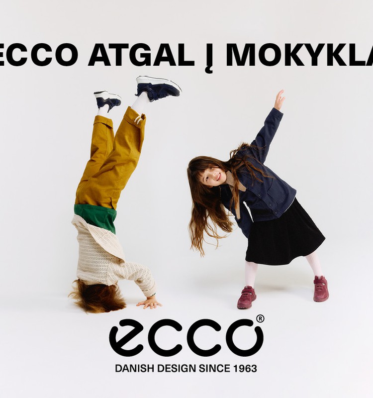 Patogiai ir stilingai žinių link