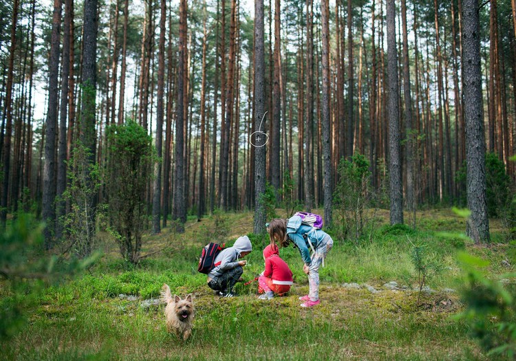 Ką veikti su vaikais per JONINES: 5 žaidimų idėjos