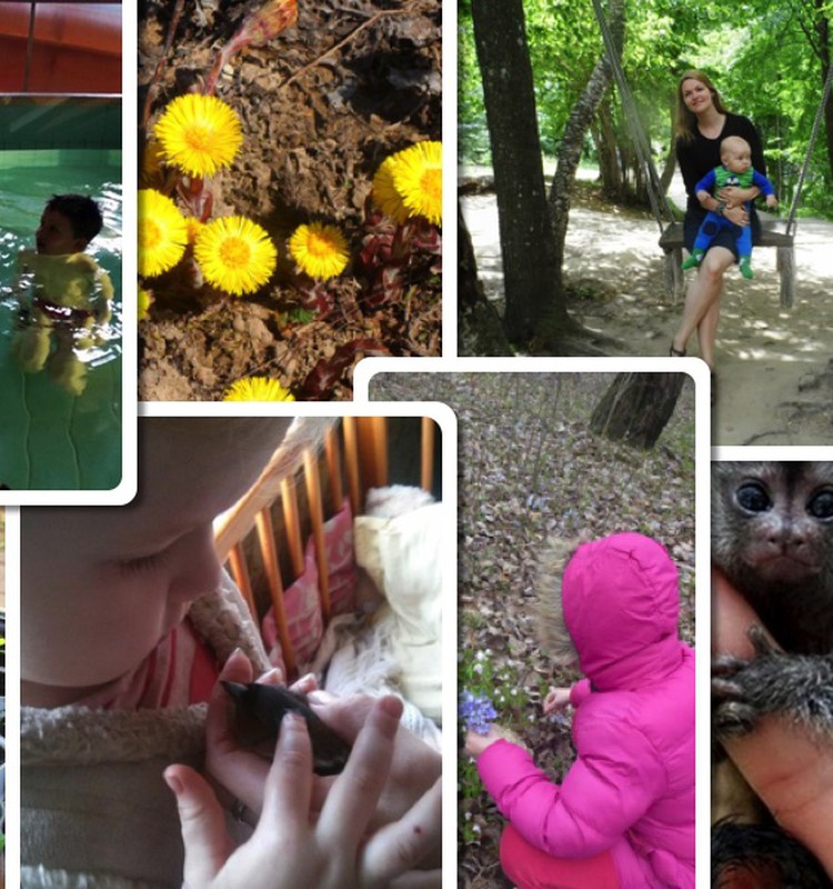 Kas tapo šios savaitės blogere ir laimi knygą "Vilko dovana"?