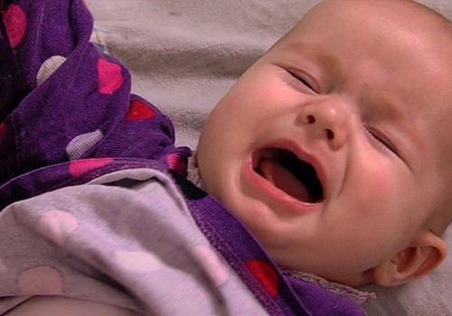 VIDEO: Viskas apie mažylio verksmą
