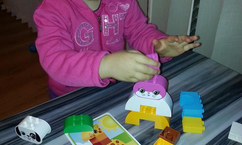 Lego zuikutis