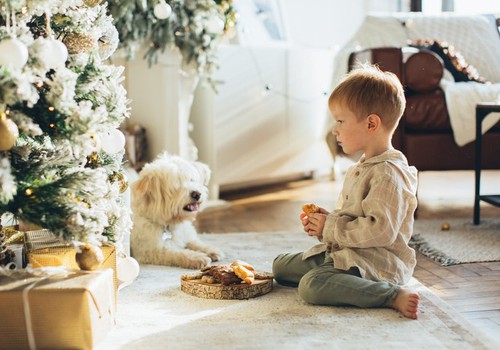 Kokios kalėdinės dovanos tiktų vaikams nuo gimimo iki ankstyvos paauglystės: idėjų sąrašas