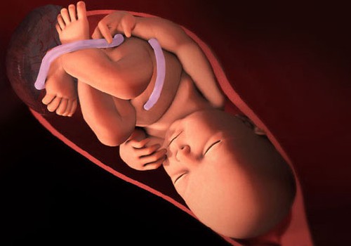 VIDEO Nėštumo kalendorius. 39 savaitė: Prasidedančio gimdymo požymiai