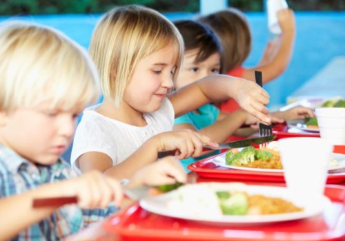 Ar tėveliai patenkinti vaikų maitinimu mokyklose?