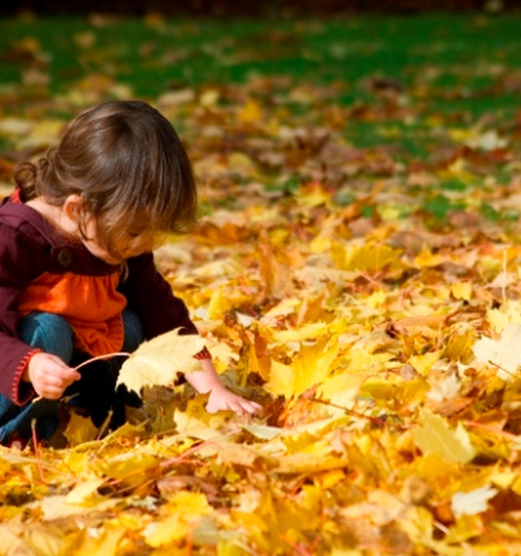 6 patarimai, užklupus rudens ligoms