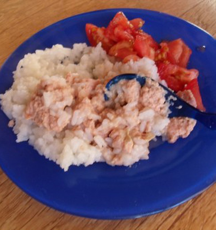 GERBER vištienos tyrelė tinka su ryžiais ir pomidoru