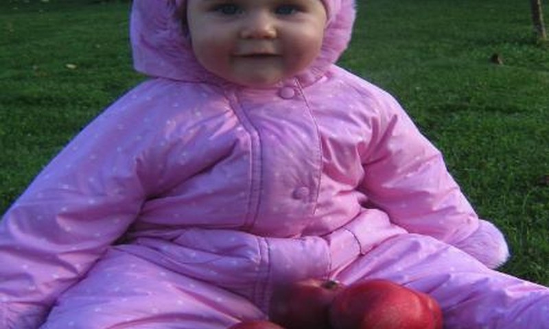 Oi kiek daug obuoliukų!