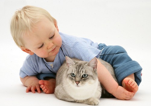 Kaip sužinoti ar vaikas alergiškas naminiams gyvūnams?