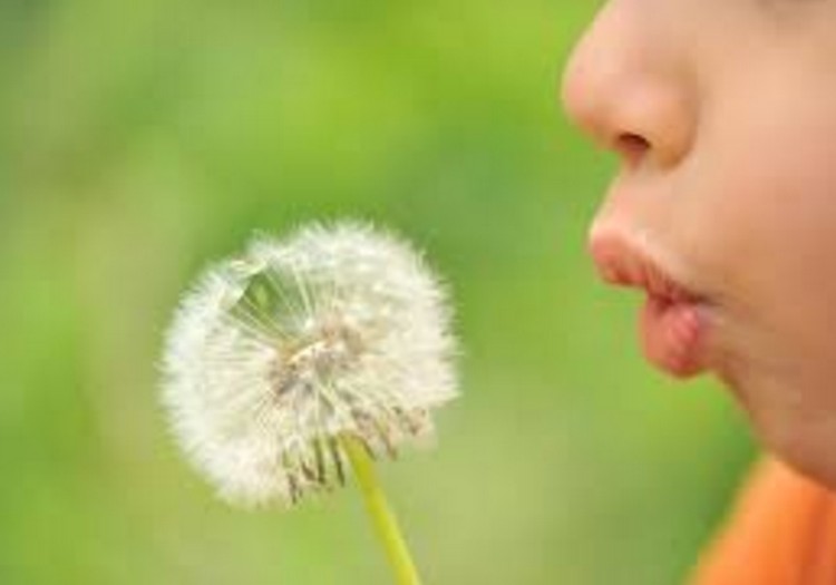 Alergijos – XXI a. epidemija: kaip homeopatija gali padėti?