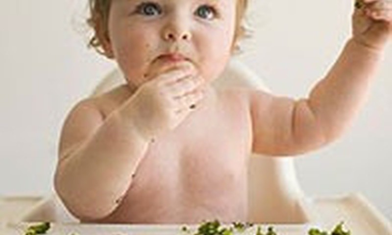 Aštuonių mėnesių vaikas prarado apetitą. Ką daryti?