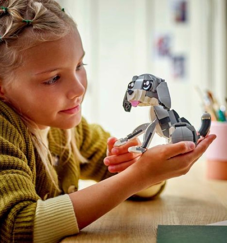 LEGO rinkiniai pagal amžių ir pomėgius