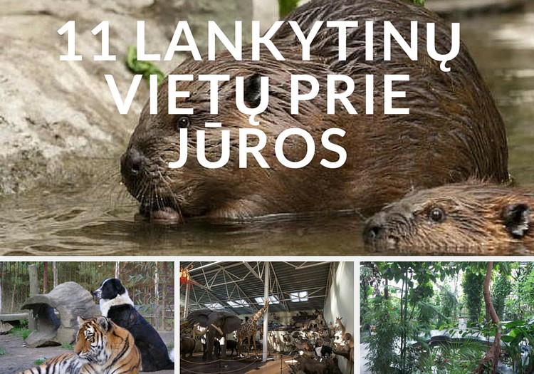 11 lankytinų vietų pajūryje