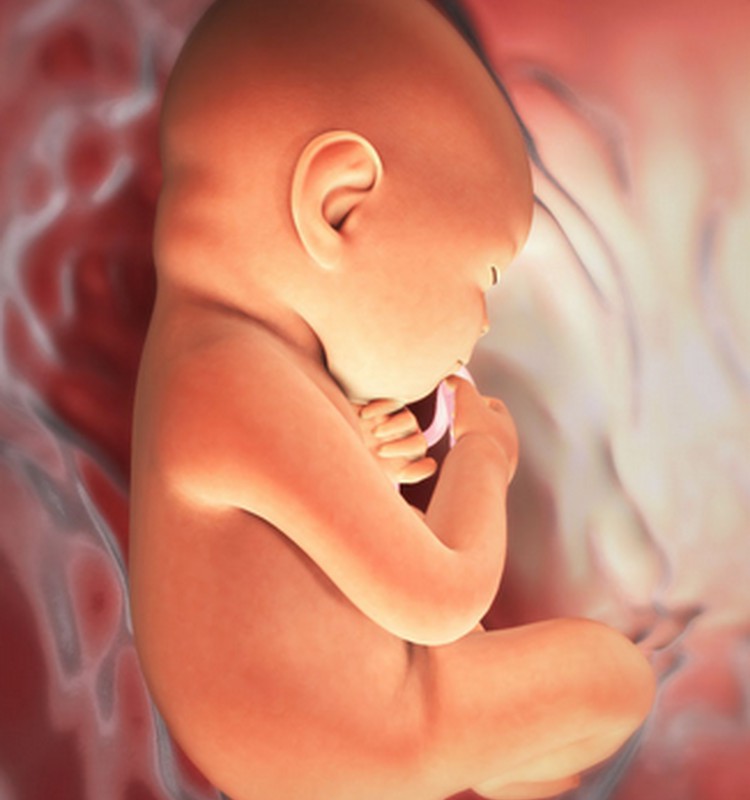 VIDEO Nėštumo kalendorius. 31 savaitė: kūdikis reaguoja į išorės garsus 