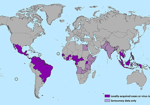 Medikai įspėja nėščiąsias nevykti į šalis, kuriose plinta Zika virusas