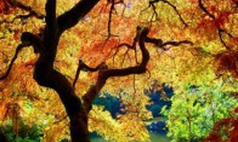 Atsiprašome už techninius nesklandumus portale