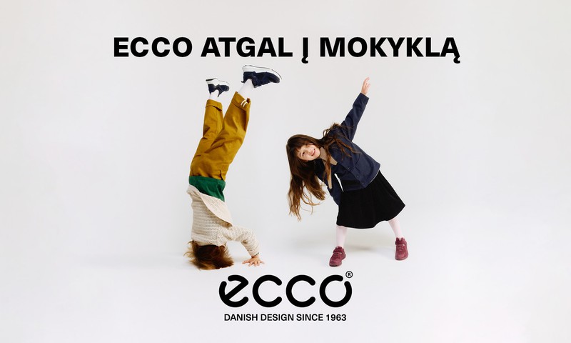 Patogiai ir stilingai žinių link