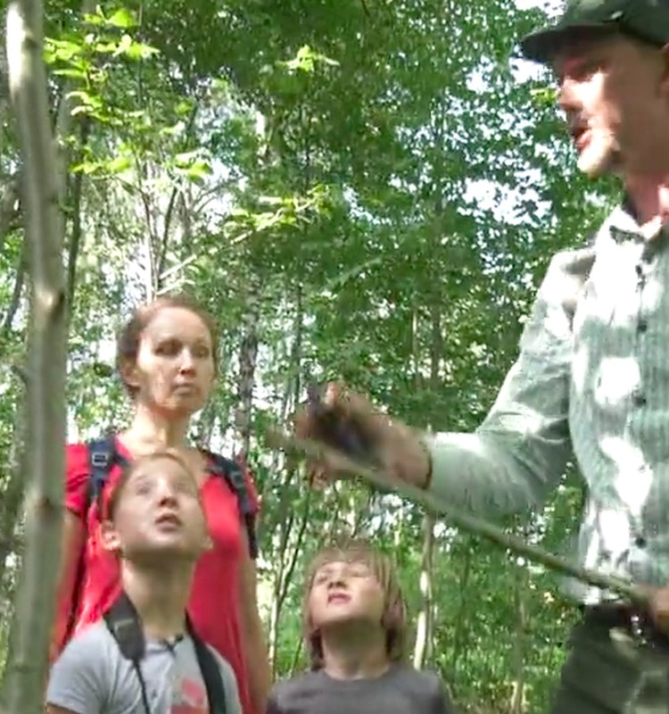 VIDEO: Kaip pasiruošti žygiui į mišką?